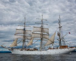 Choisir une croisière pas chère dernière minute : astuces.