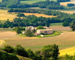 Que faire lors d’un séjour dans le pays Albigeois ?