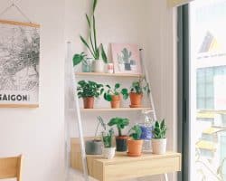 Comment installer une petite étagère en bois ?