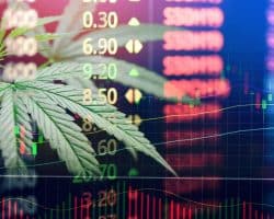 Les 5 principales raisons pour lesquelles vous devriez investir dans des actions de cannabis