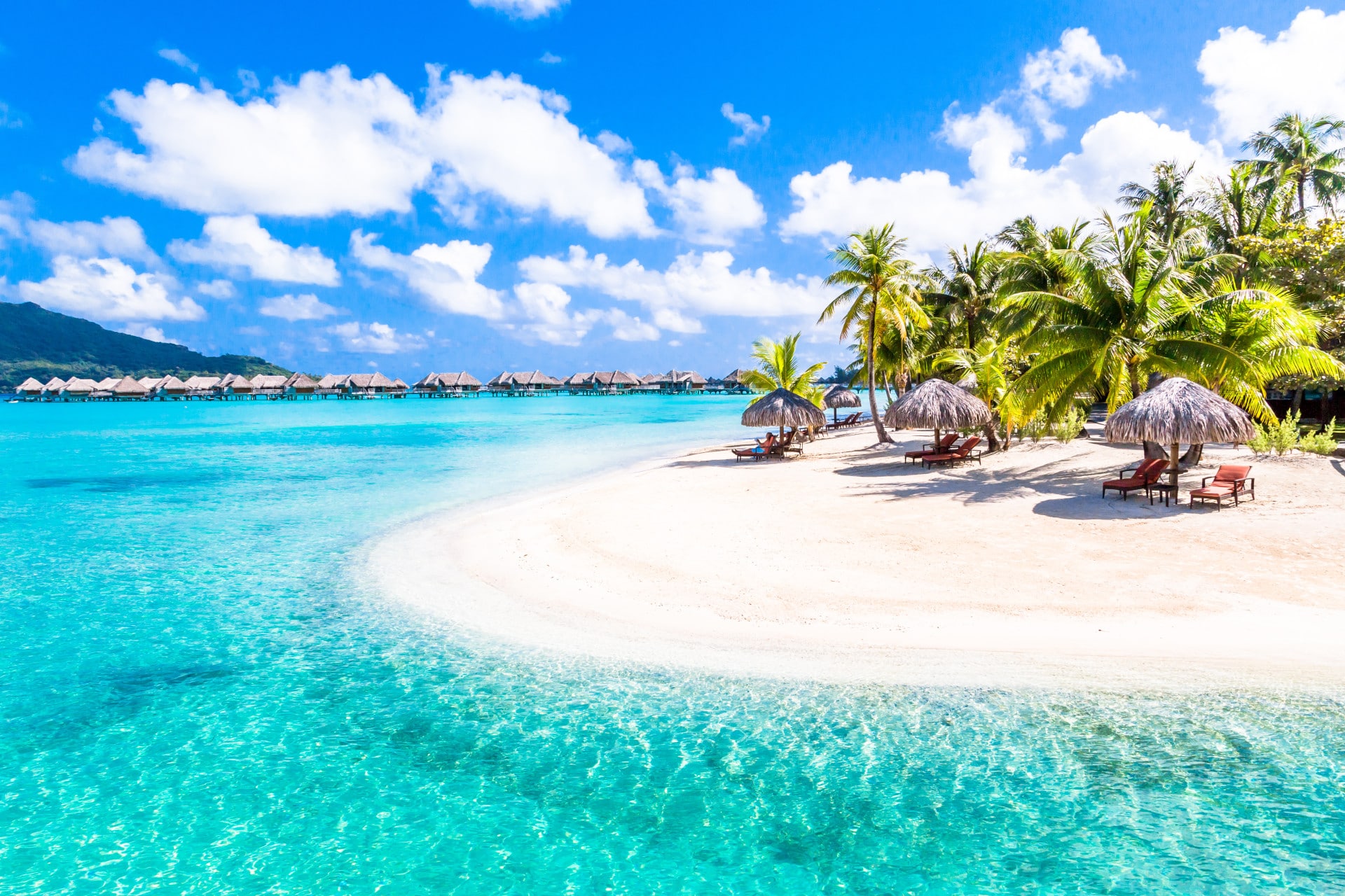 Lot De 2 Bracelets Style Motard - Noir, Cuir PU Et Acier, Fermoir Crochet - Neuf Avec étiquettes