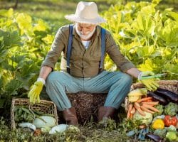 Pompe d’arrosage : un atout majeur pour le jardin